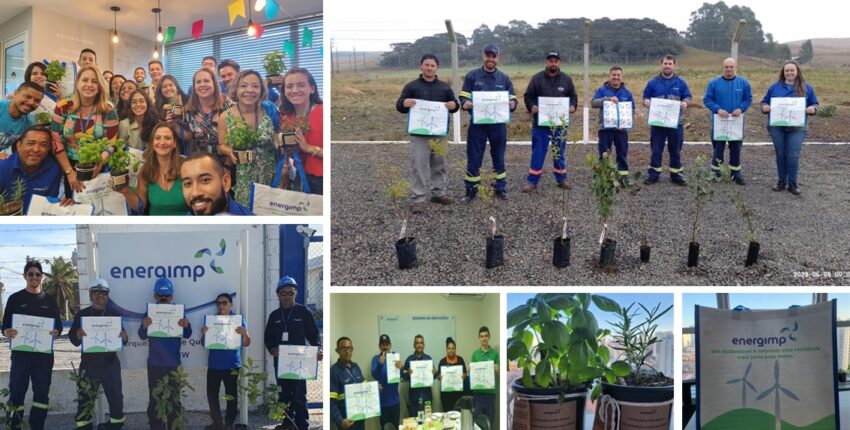 Dia Mundial do Meio Ambiente